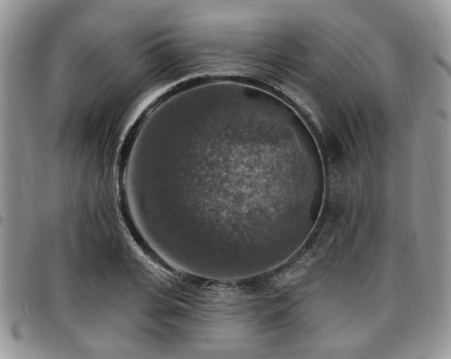 X0000097670935200802291457