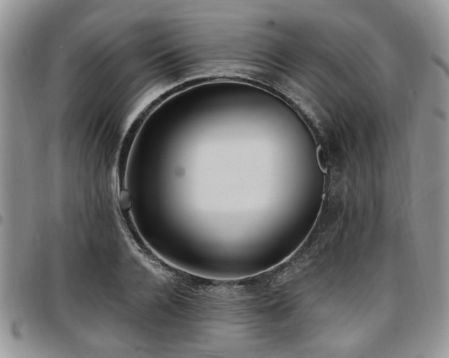 X0000097670936200802291457