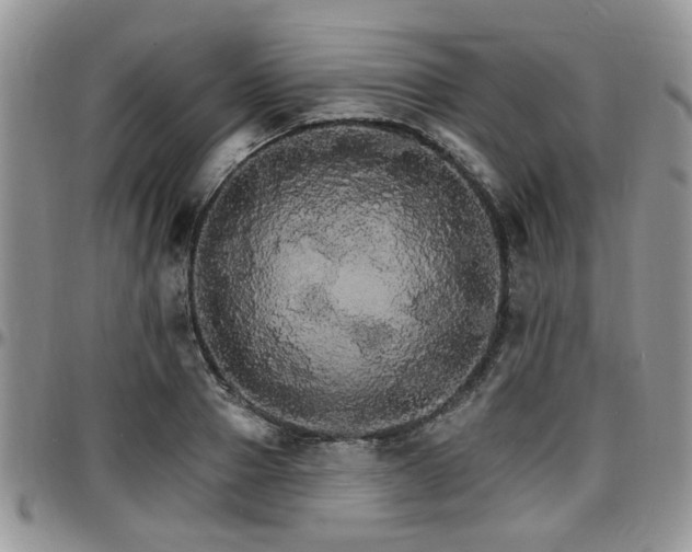 X0000097670937200802291457