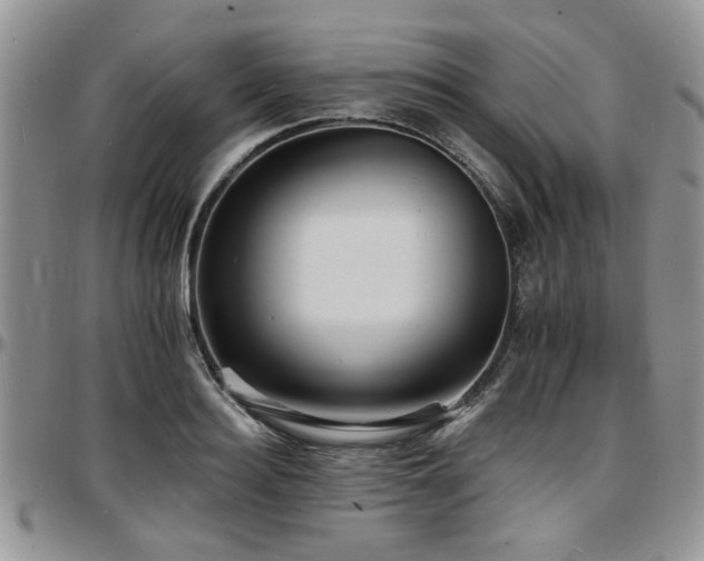 X0000097670940200802291457