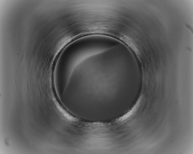 X0000097670941200802291457
