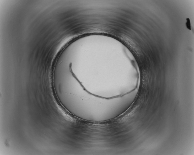 X0000097670942200802291457