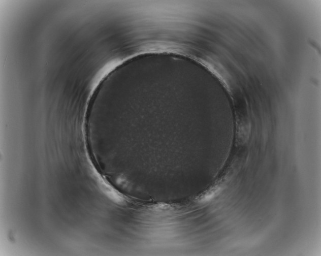 X0000097670943200802291457