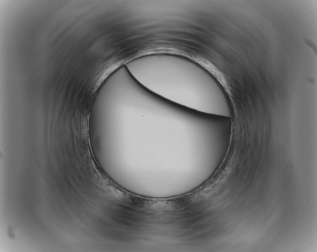 X0000097670945200802291457