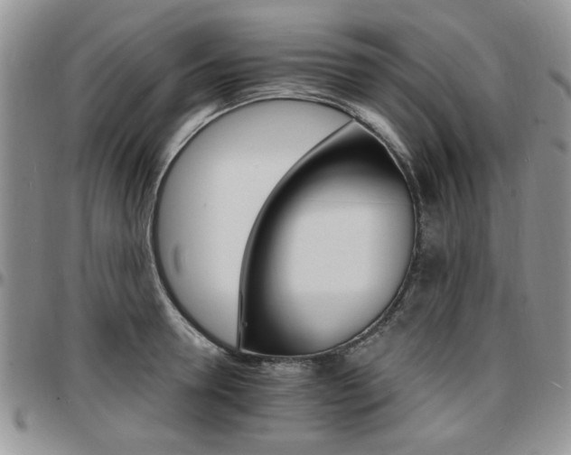 X0000097670946200802291457