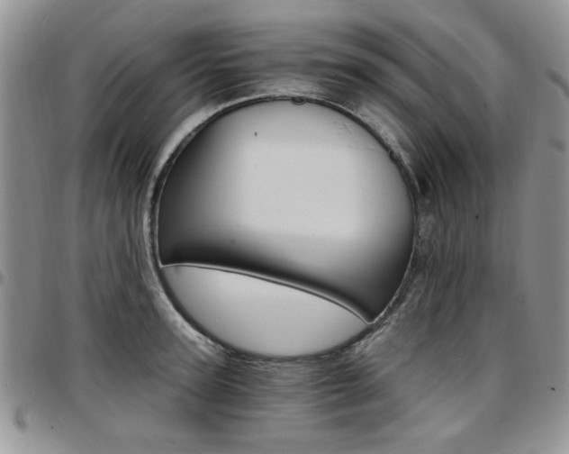 X0000097670947200802291457