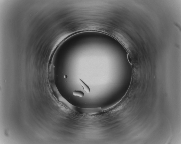 X0000097670948200802291457
