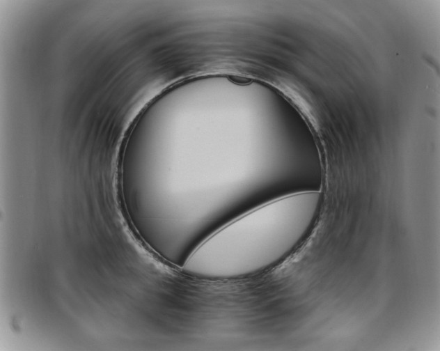 X0000097670949200802291457