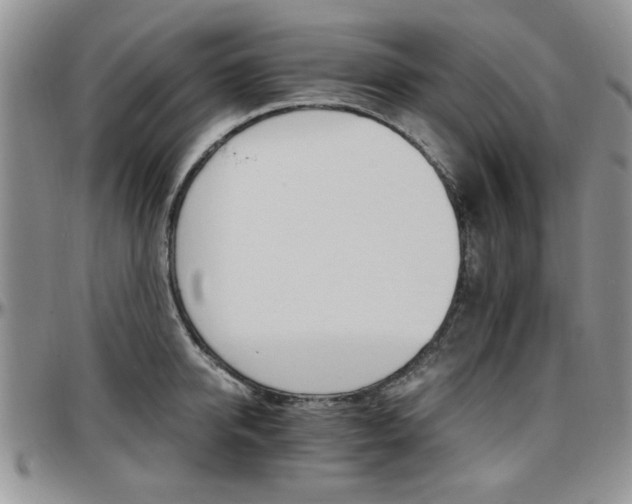X0000097670950200802291457