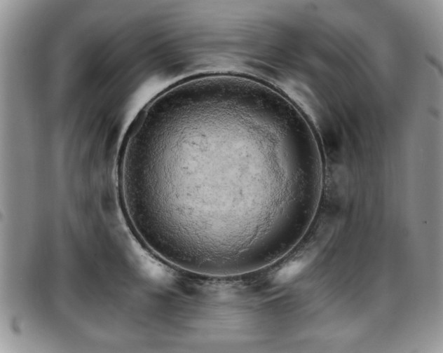 X0000097670951200802291457