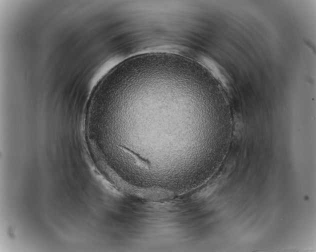 X0000097670952200802291457