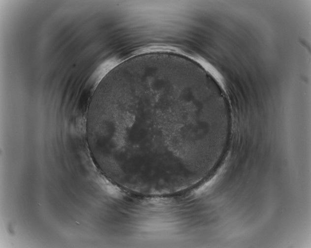 X0000097670953200802291457