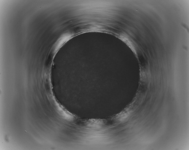 X0000097670954200802291457