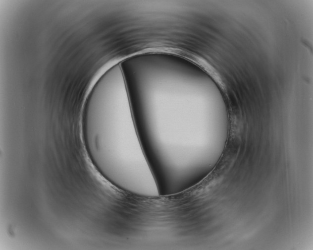 X0000097670955200802291457