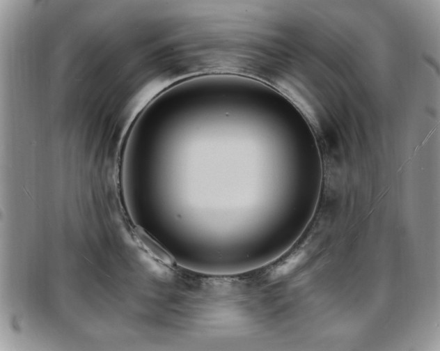 X0000097670956200802291457