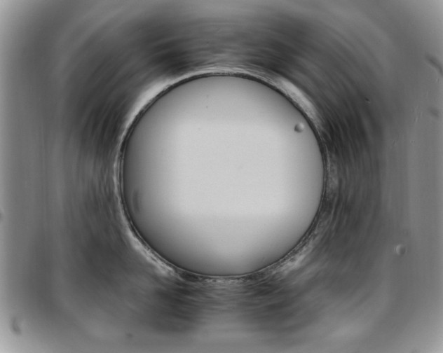 X0000097670958200802291457