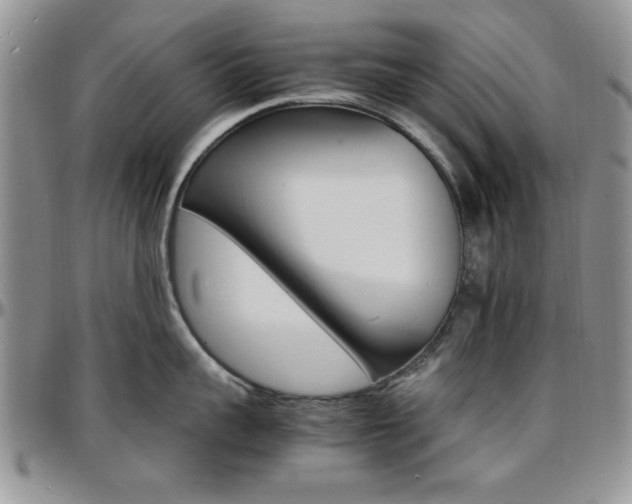 X0000097670959200802291457