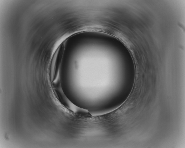 X0000097670960200802291457