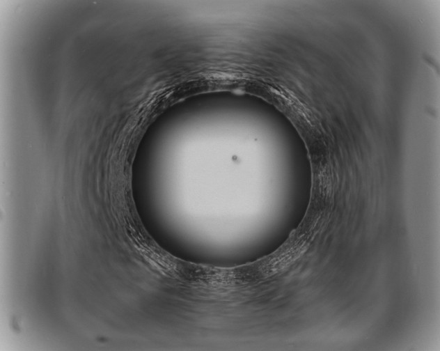 X0000097670961200802291456