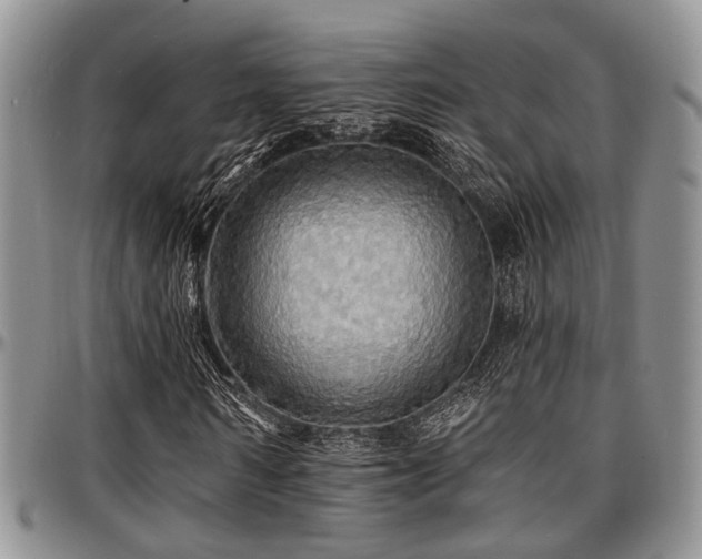X0000097670962200802291456