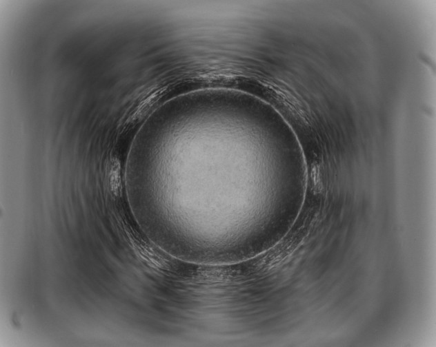X0000097670963200802291456