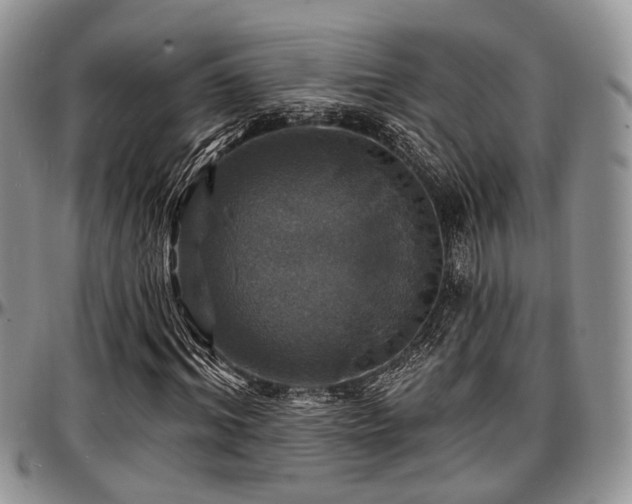 X0000097670964200802291456