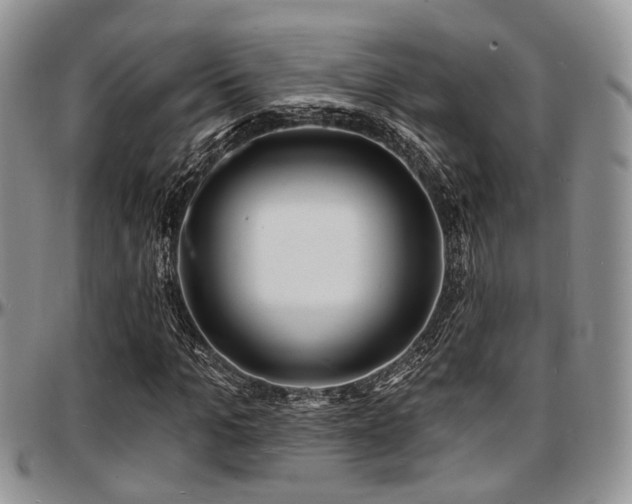 X0000097670965200802291456