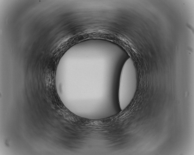 X0000097670966200802291456