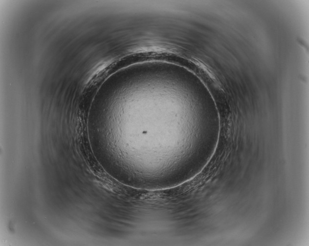 X0000097670967200802291456