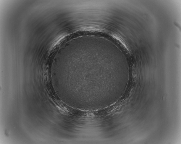 X0000097670968200802291456