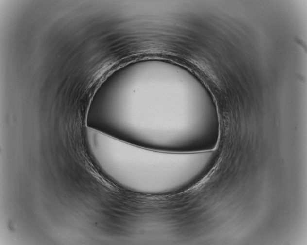 X0000097670969200802291456