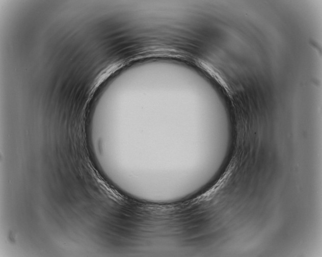 X0000097670970200802291456