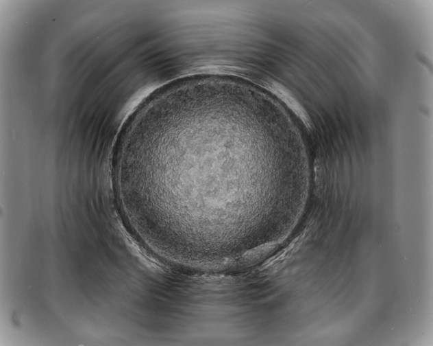 X0000097670972200802291456