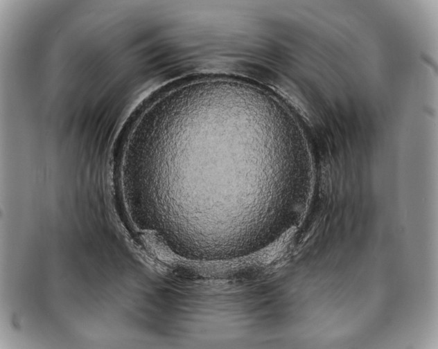 X0000097670976200802291456