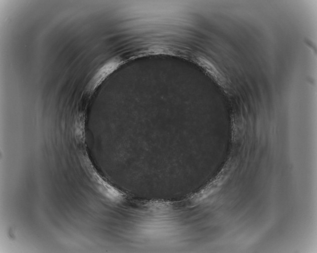 X0000097670977200802291456