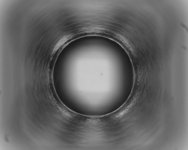 X0000097670978200802291456