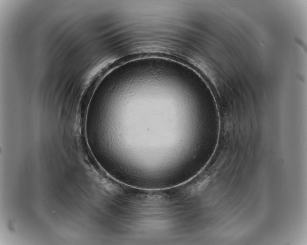X0000097670979200802291456