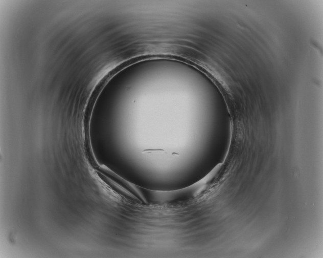 X0000097670980200802291456