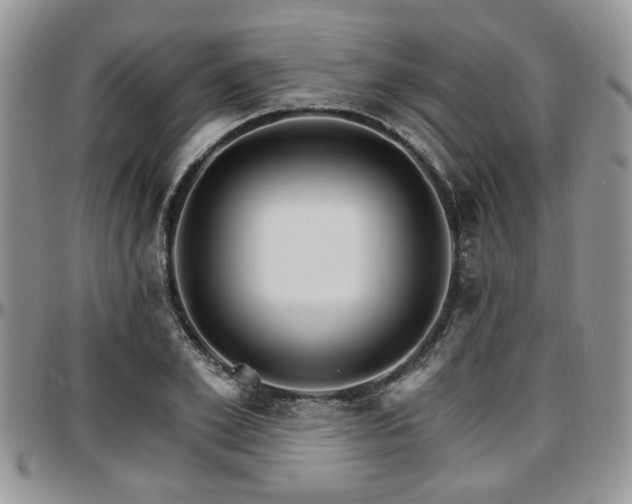 X0000097670981200802291456