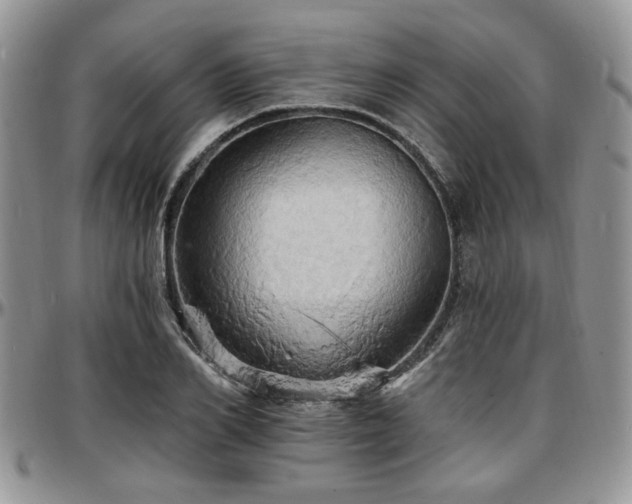 X0000097670982200802291456