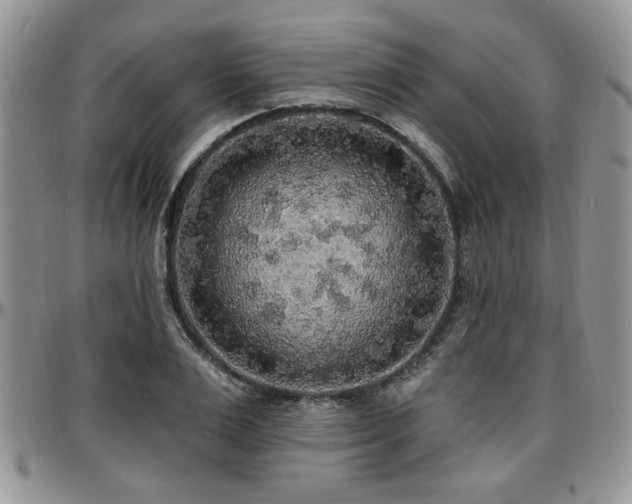 X0000097670983200802291456