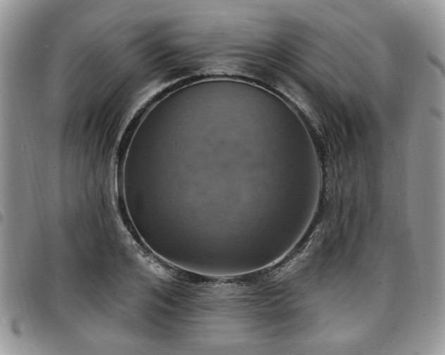 X0000097670984200802291456