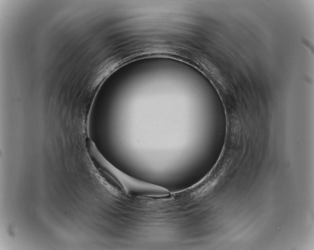 X0000097670985200802291456