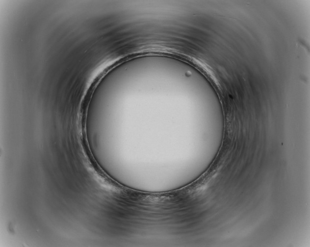 X0000097670987200802291456
