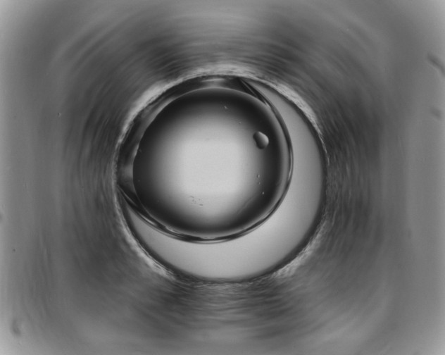 X0000097670989200802291456