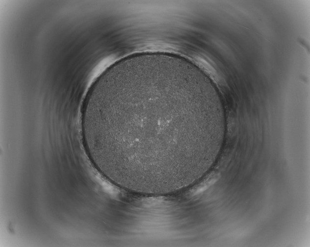 X0000097670990200802291456