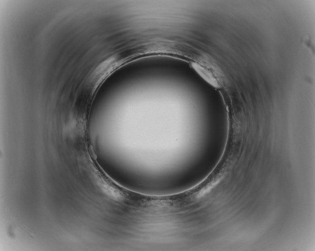X0000097670993200802291456