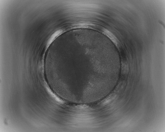 X0000097670994200802291456