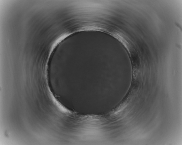 X0000097670995200802291456