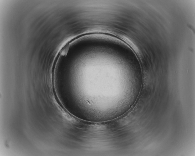 X0000097670996200802291456